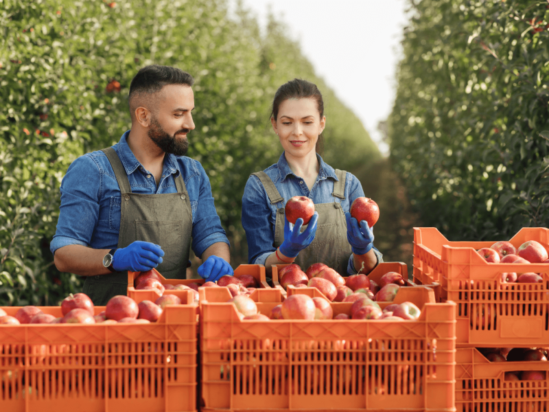 Handling living products